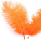 10 Stück 15-20cm Natürliche Straußenfedern,Strauß Feder zum Basteln,Bastel Federn für DIY Traumfänger Zubehör,Heimdekoration,KostüMe,Tischdeko Hochzeit Party Fest Hüte Kleidung Dekoration,Orange