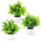 PASCH® Lot de 3 plantes artificielles comme de vraies (18 cm) dans des pots en céramique blancs | Petites plantes artificielles en pot | Plantes artificielles en pot | Mini fausses plantes en pot |