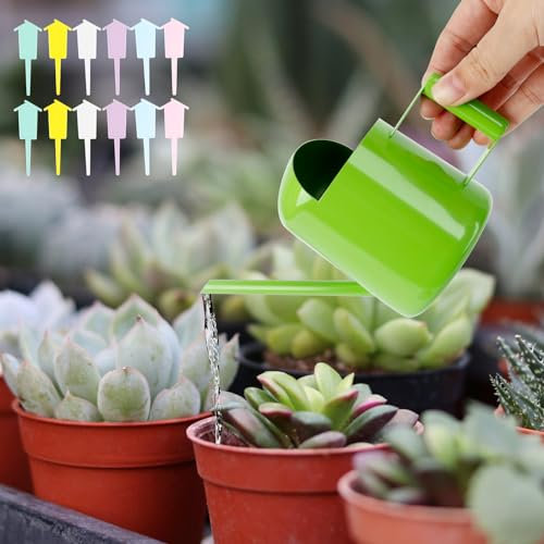 Dadabig Mini Annaffiatoio 300 ml, Verde in Acciaio Inossidabile Con Beccuccio Lungo per Piante da Interno