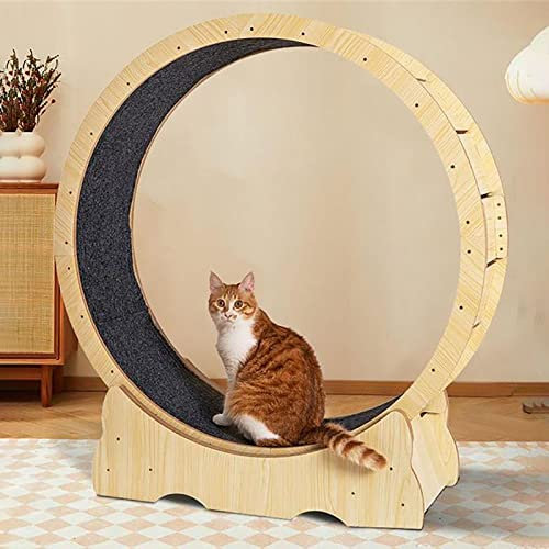 Katzenlaufband, Katzenrad – Interaktives Katzenspielzeug für kleine und große Katzen im Innenbereich, drehendes, laufendes, kratzendes Katzensportspielzeug