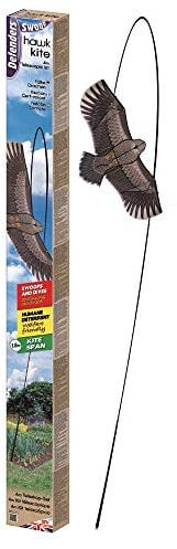 STV International Defenders Effektive Vogelscheuche, Design: Falke, kommt mit 4-m-Teleskopstange, schützt Garten & Gebäude