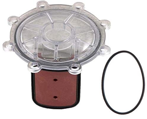 Atie - Rückstauklappe mit Montagesatz - ersetzt Zodiac Jandy Spring 7056 Rückschlagventil mit Klappenmontage