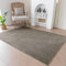 Evitany Kurzflor Teppiche Wohnzimmer, rutschfeste Unterseite, Waschbarer Einfarbiges Teppich, Kinderzimmer,Esszimmer,Küchen Teppich (Taupe/140x200cm)