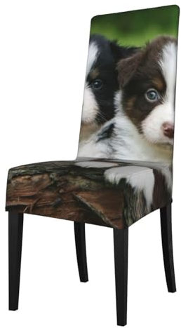 YOFIEN Australian Shepherd Kleine Welpen Quartett, Abnehmbarer, waschbarer Stuhlschutz, Esszimmerstuhlbezug, Stretch-Stuhlbezug