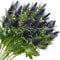 FiveSeasonStuff Künstliche Distelblumen, echte Größe, 8 Stiel, rustikal, lila und grün, Distel-Dekorspray, Eryngium, Seestechpalme für Hochzeit, Blumenstrauß, Tafelaufsatz, 66 cm