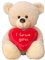 Lifestyle & More Teddybär Kuschelbär mit Schleife und Aufschrift I Love You 30 cm groß Plüschbär Kuscheltier samtig weich