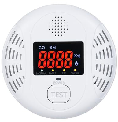 Détecteur D'alarme de Monoxyde de Carbone fumé Capteur Double avec écran LCD pour Les Immeubles de Bureaux des Hôtels (Type 2)