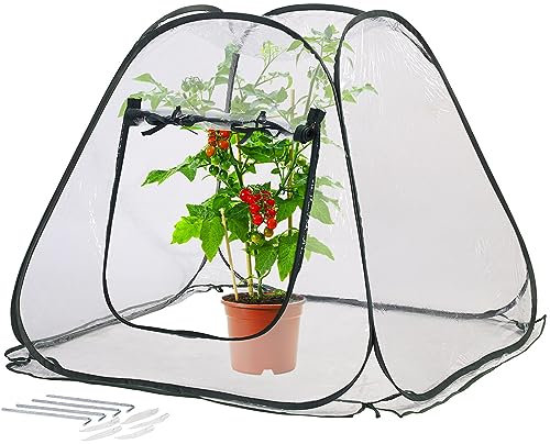 Royal Gardineer Winterschutz-Zelt: Kompaktes Pop-Up-Gewächshaus, klar, universal, 80 x 70 x 80 cm (Beistellgewächshaus, PVC-Gewächshaus, Winter)