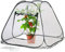 Royal Gardineer Winterschutz-Zelt: Kompaktes Pop-Up-Gewächshaus, klar, universal, 80 x 70 x 80 cm (Beistellgewächshaus, PVC-Gewächshaus, Winter)