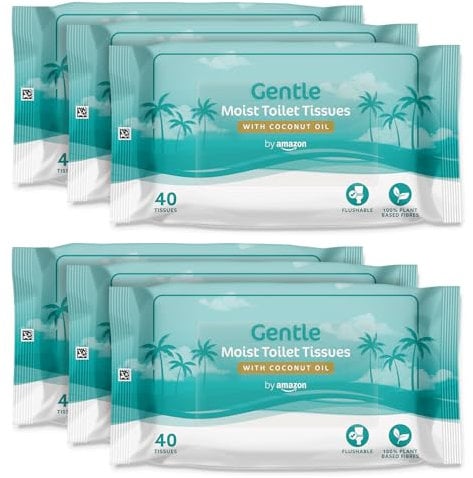By Amazon Gentle Moist Toilet Tissues with Coconut Oil, 240 Count (6 Packs of 40)