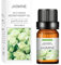 10ml ätherische öle, Aromatherapy naturrein Wasserlösliches Öl Aromatherapie Geeignet für Luftbefeuchter, 19 Düfte zur Auswahl (D, Jasmine)
