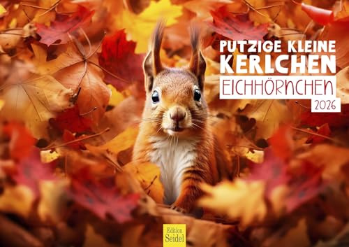 Edition Seidel Premium Kalender Putzige kleine Kerlchen Eichhörnchen 2026 Format DIN A3 Wandkalender Tierkalender Wildtiere Waldtiere heimische Tiere