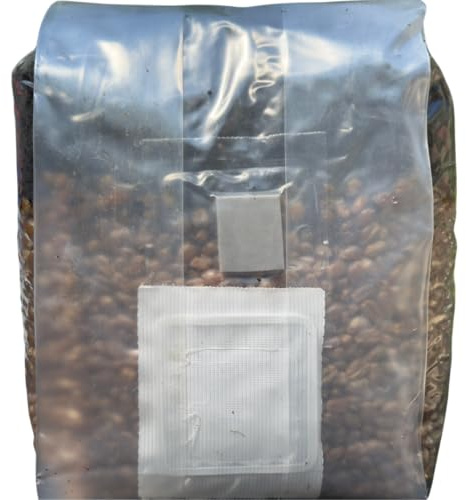 Kit de culture de champignons – Magic All in One Sac de culture de champignons (lot de 1)