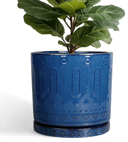 Eightpot 30,5 cm Topf für Pflanzen – Keramik-Übertopf für Zimmerpflanzen, großer Blumentopf mit Drainagelöchern und Untersetzer, dekorativer runder Übertopf für Veranda, Büro, Dekoration, Blau