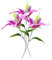 MUMEOMU 3 Stück Künstliche Blumen Lilie,Blumen Deko Künstlich Gefälschte Seide Hortensien Dekoration Plastik Blumenarrangements Hochzeit Blumensträuße Braut Zuhause Dekoration Künstliche Lilien Blumen