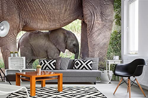 Vlies Fototapete ELEFANT VON MUTTER GESCHÜTZT 375 x 250 cm (inkl. Kleister) - Vlies Tapete, Wandtapete, Wandbilder - Tapete für Wohnzimmer Schlafzimmer, Büro, Küche - Montagefertig