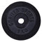 GORILLA SPORTS® Hantelscheiben - Set/Einzeln, 0,5/1,25/2/2,5/5/10/15/20/25/30 kg Gewichte, 30/31 mm, Gusseisen, Silber/Schwarz - Gewichtsscheiben, Bumper Plates