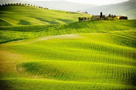 Holz-Bild 140 x 90 cm: Morgen auf dem Land in der Toskana(19426998)