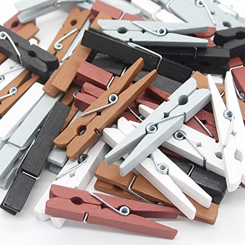 LeTOMA - 50 Bunte Holzklammern 5cm lang in modernen Trendfarben ideal für anspruchsvolle Dekorationen und DIY-Projekte - Kleine hochwertige Wäscheklammern in exklusiven Farben