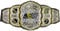 AEW Jungen Championship Gürtel Weltmeisterschaftsgürtel – authentisches Design Rollenspiel, Tragen und Präsentation des Titelgürtels, Mehrfarbig, 44.45 x 5.72 x 22.23 cm 330 Grams