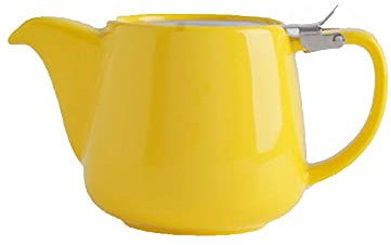 Teiera da tè con infusore con filtro in acciaio inossidabile Teiera in ceramica delicata per tè verde Tè Oolong, filtro per teiera in ceramica