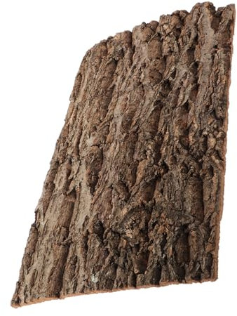 Gatuida Cork Terrarium Hintergrund Für Reptilien Korkrinde Dekorative Wandverkleidung Für Terrarien Und Aquarien Einen Natürlichen Lebensraum Für Schildkröten Und Eidechsen