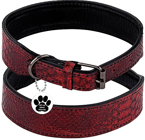 FAVPET Luxus Echtleder Halsband Hund Breit mit QR Code Anhänger, Gepolstertes Hundehalsband Leder Breit, Breites Lederhalsband Hund, Breite Hunde Halsbänder, Welpenhalsbänder Leder (Rot, XL)