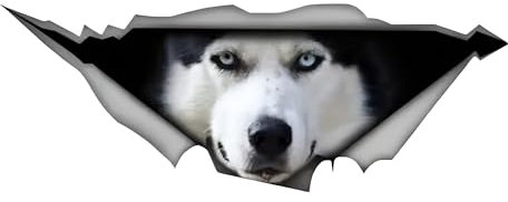 Autoaufkleber Husky Aufkleber 15cm(5.9 Inch) Husky Car Sticker Husky 3D Zerrissen Reflektierende Autoaufkleber Wasserdichte Haustier Hund Lustig Aufkleber Laptop Heckscheibe Personalisiert Dekor