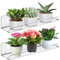 WIYETY Lot de 2 étagères à plantes en acrylique : étagère à plantes à suspendre pour fenêtre, étagère à plantes avec ventouse, support mural de fenêtre pour fleurs, plantes succulentes et herbes
