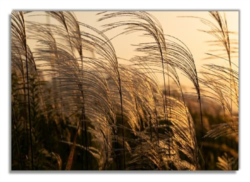 Wallario Poster - Schilf im Wind in Premiumqualität, Größe: 70 x 100 cm (Riesenposter)