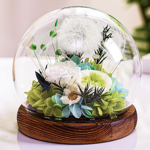 Idée Cadeau Pissenlit en Verre Cadeau de Fête des Mères pour Femme, Petite Amie, Enseignantes, Maman,Grand-Mère, Fleur sous Cloche, Cadeau de Réalisation de Souhaits, Encouragement pour Elle