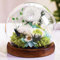 Idée Cadeau Pissenlit en Verre Cadeau de Fête des Mères pour Femme, Petite Amie, Enseignantes, Maman,Grand-Mère, Fleur sous Cloche, Cadeau de Réalisation de Souhaits, Encouragement pour Elle