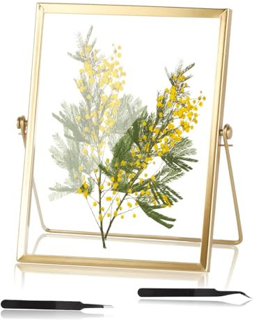 Cadre Transparent, 15x20cm Cadre Photo Moderne Doré, Cadres en Verre pour Fleurs Pressées, Cadre Photos Flottant Transparent pour Affiches Photos Certificats Décoration Table Murale