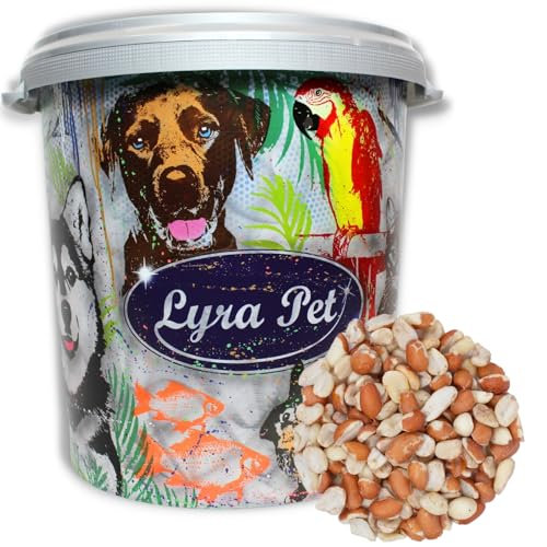 Lyra Pet® | 10 kg Erdnusskerne Splits Teilblanchiert in 30 L Tonne | HK Argentinien | Erdnüsse Blanchiert & mit Haut | Gourmetsnack für Wildvögel | Nährstoffreicher Energiespender für Körnerfresser
