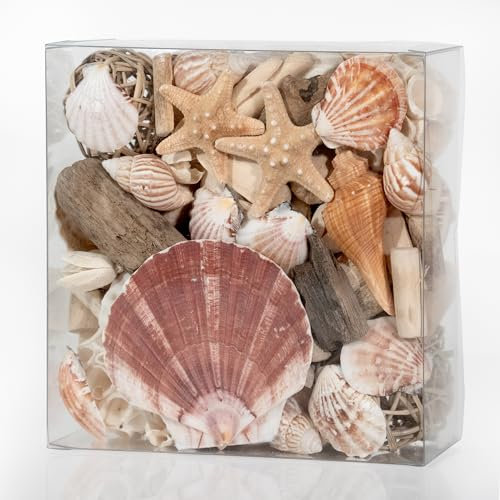 ANDALUCA Maison Box Duft-Potpourri, dekorative Vase und Schalenfüller, Heimdekoration (Küstenmuscheln)