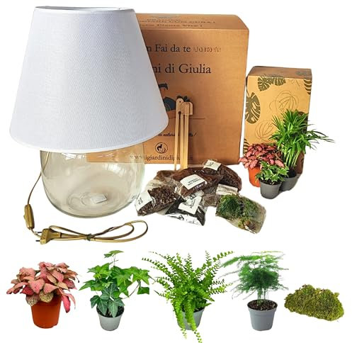 I Giardini di Giulia | Kit Terrarium Lamparium e Piante Verdi | Vaso in Vetro con Paralume Incluso | Include Substrati, Accessori e Terrario Fai-da-Te