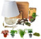 I Giardini di Giulia | Kit Terrarium Lamparium e Piante Verdi | Vaso in Vetro con Paralume Incluso | Include Substrati, Accessori e Terrario Fai-da-Te