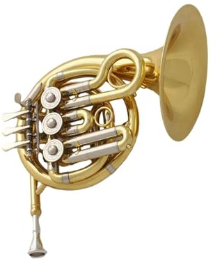 Waldhorn Anfängerinstrument Goldfarbenes Mini Waldhorn Instrument Mit Gravur