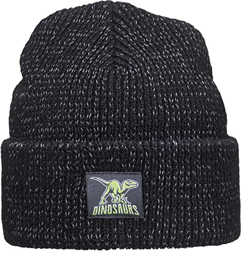 Baddery Reflektierende Mütze für Kinder mit Patch: Dinosaurs - Dino Dinosaurier Dinos T-Rex - Wintermütze Beanie Geschenk für Jungen & Mädchen - Reflex Reflektor Sichtbarkeit Sichtbar (Schwarz)