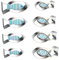 PTaizjjz Lot de 8 Emporte-Pièces en Forme de Poisson en Acier Inoxydable (4 à Queue Plate + 4 à Queue de Fourche)