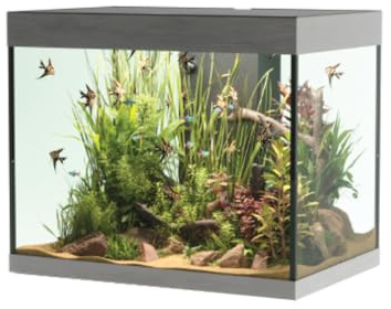 Opera Aquarium 110 Steel