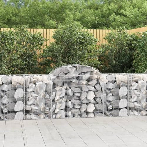 Xichuzi Gabionen mit Hochbogen 25 STK. 200x50x80/100cm Verzinktes Eisen, Gabionen Zaun, Steinkorb Garten, Gabionenkörbe, Gabionen Gitter, Dekorative Zã¤UNE - 3146315