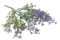 GMMH Kunstblumen Blumenstrauß Ziergrassär Grünpflanze Distel Dorn Wilde Lavendel künstliche Beerenzweig Blumen Hochzeit Party (Blaue Strauß 35 cm)