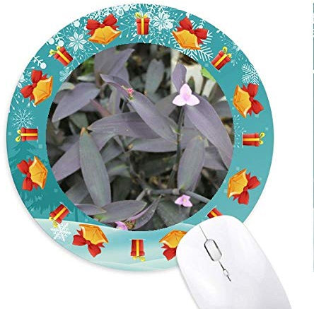 rose pâle sage tapis de souris souris ronds cadeaux de noël