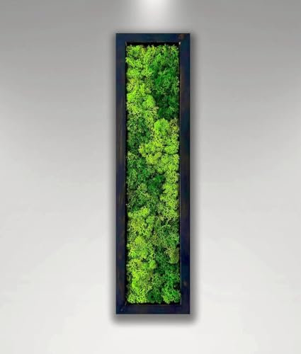 Decorazione da parete con motivo muschio, vero muschio, zero manutenzione, decorazione da parete ecologica e naturale, decorazione da parete contemporanea con cornice con piante viventi (rettangolare,