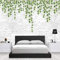 Photo Papier Peint Mur de briques vignes plantes 3D Intissé Décoration Murale XXL Poster Trompe l oeil Tableaux Muraux pour Salon Chambre Toile de Fond Mur 140x100cm