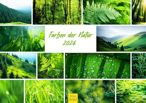 Edition Seidel Premium Kalender Farben der Natur 2026 Format DIN A3 Wandkalender Landschaft Natur Wildnis Blumen Wälder Berge Seen