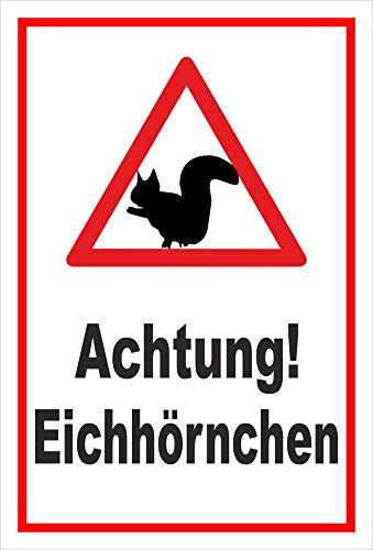 Melis Folienwerkstatt Schild Achtung Eichhörnchen - 30x20cm - 3mm Aluverbund – 20 VAR S00359-161-B