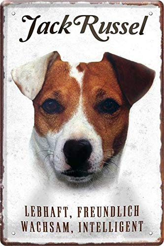 Jack Russel Hund Steckbrief 20 x 30 cm Deko Spruch Blechschild Blech 217