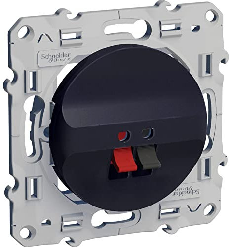 Schneider Electric - Odace prise haut parleur 1 sortie Anthracite - S540487
